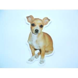  Chihuahua Reusable Double Sided Window Sticker