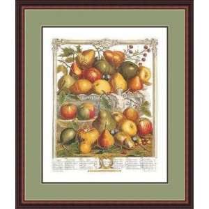  Twelve Months of Fruits, 1732/January by Robert Furber 