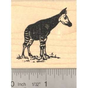  Okapi Rubber Stamp (African Wildlife related to Giraffe 