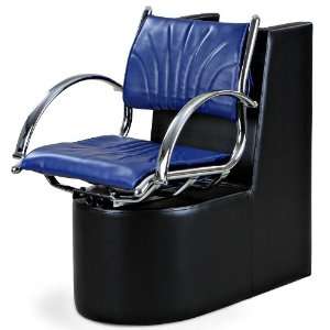  Bennett Blue Dryer Chair Beauty