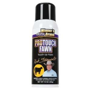  PRO TOUCH PAINT KS 10OZ FAWN ORMD &