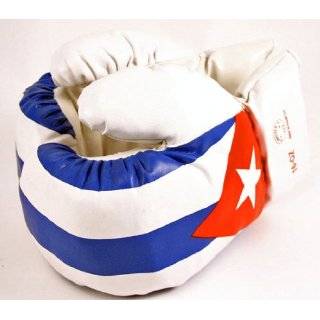 New Pair of 16oz Puerto Rico Pride Boxing Gloves Fight  