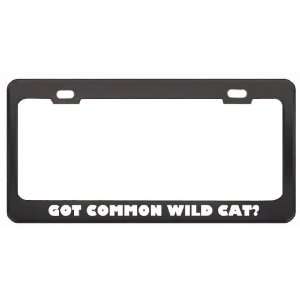 Got Common Wild Cat? Animals Pets Black Metal License Plate Frame 