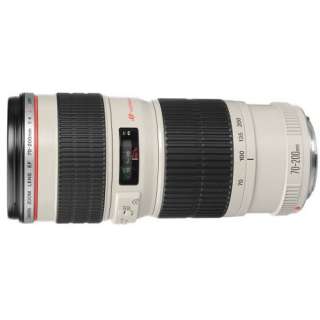 Canon EF 70 200mm f/4L USM Telephoto Zoom Lens NEW 082966214202  