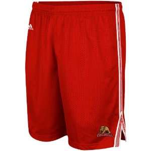   Cornell Big Red Carnelian Lacrosse Mesh Shorts (Small) Sports