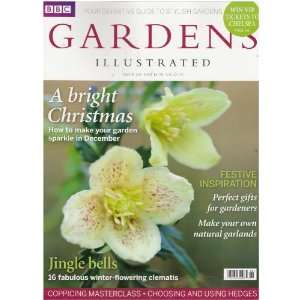   Magazine (A bright Christmas, Issue 168 2010) Various Books