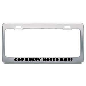 Got Rusty Nosed Rat? Animals Pets Metal License Plate Frame Holder 