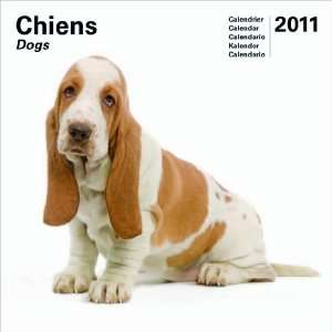  CALENDRIER CHIENS 2011, 30X30 CM (9782811901356 