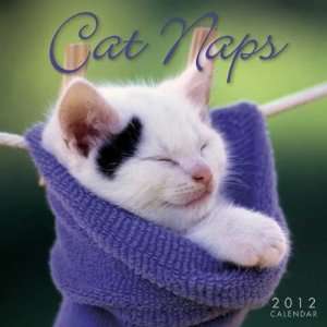  Cat Naps 2012 Mini Calendar