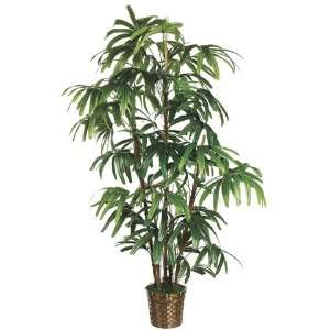  Pack of 2 Decorative Rhapis Palm Trees with Round Baskets 