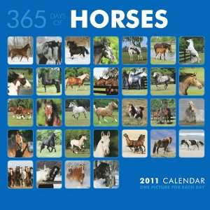  Horses 365 Days 2011 Wall Calendar 12 X 12 Office 