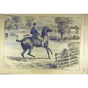  1892 Hunters Sale Hire Horse Rider Hunt Sketch Print