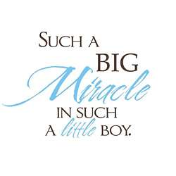 Vinyl Attraction Such a Big Miracle in Such a Little Boy Vinyl Decal 