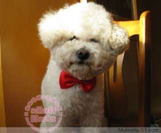 Dog Cat Pet Collar ACCESSORY Bow tie necktie 12 color  