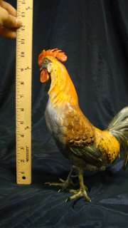 Extremely Large Austrian Bronze Chicken Marked Bergman  