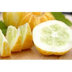  Certified Organic Lemon Cucumber Seeds 65 Seeds Patio 