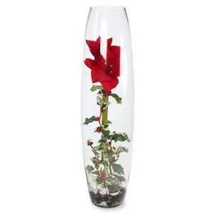  Winward Amaryllis Floral Arrangement Bullet Vase 27
