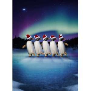  Avanti Christmas Cards, Skating Penguins, 10 Count Office 