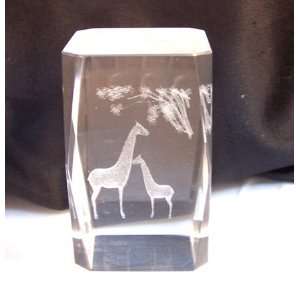  Giraffes Laser Art Crystal 