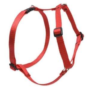 1 Red 24 38 Roman Harness