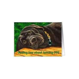  Funny Birthday ~ 59 Years Old ~ Labrador Dog Card Toys 