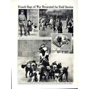 FRENCH BANDSMEN SOLDIERS SERBIAN BOY DOG 1916 WORLD WAR  