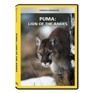   Geographic Puma Lion of the Andes DVD Exclusive 