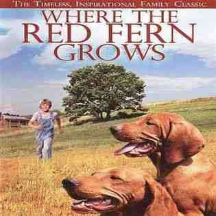 DVD WHERE THE RED FERN GROWS (DVD W/BONUS DIGITAL COPY) 