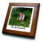   Times Funny Society Cartoons   Two Cans Of Paradise   Framed Tiles