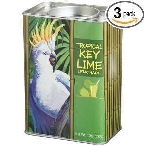 McStevens Tropical Key Lime Lemonade, 10 Ounce Tins (Pack of 3 