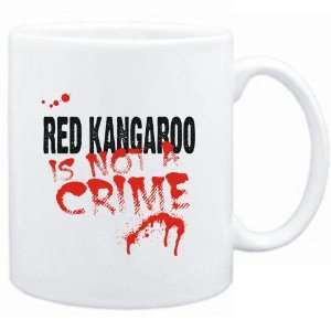   Being a  Red Kangaroo is not a crime  Animals