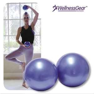  Weighted Balls by WellnessGear 1 Pair 2 LB WW 6055 2 LB 
