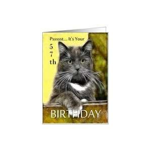    Birthday ~ Age Specific 57th ~ Cat in a box Card Toys & Games