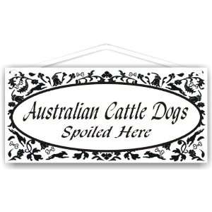  Australian Cattle Dogs Spoiled Here 