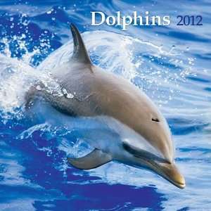  Dolphins 2012 Wall Calendar