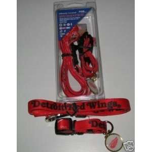  Detroit Red Wings Dog Pet Set Leash Collar ID Tag XS 