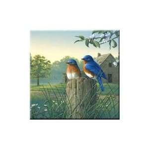   TT92386 Tuftop Country Morning Bluebirds Trivet