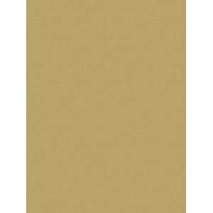  Wallpaper Steves Color Collection Metallic BC1581585
