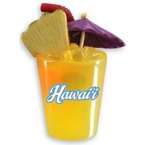  Hawaii Magnet Hand Painted Happy Hour