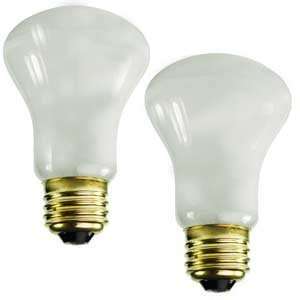 Satco S4978 75W 120V K19 White E26 Medium Base Incandescent light bulb