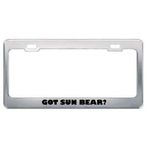 Got Sun Bear? Animals Pets Metal License Plate Frame Holder Border Tag