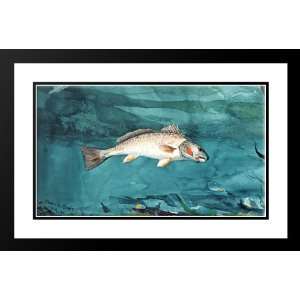   Winslow 24x17 Framed and Double Matted Channel Bass