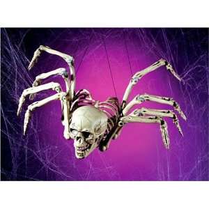  13 Human Skeleton Bone Spider Halloween Prop