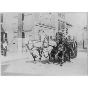 Fire equipment drawn by three running horses,c1905 