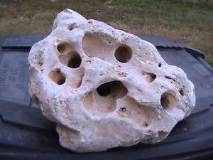 Texas holey rock cichlids aquarium fish tank stone 80#  