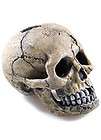 classic spooky skull 4 10cm aquarium fish tank biorb ornament