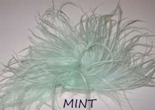 OSTRICH FEATHER PUFF BOUTIQUE BABY GIRL HAIR ALLIGATOR CLIP  