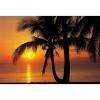 12 ft. 1 in. x 8 ft. 4 in. Palmy Beach Sunrise Wall Mural
