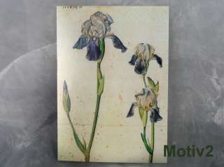 Postkarte Frühlingsblumen Frühling Tulpe Iris Mohn Frühlingsblüten 