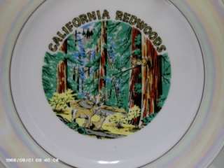 Vintage Collector Plate   California Redwoods   10 1/2  